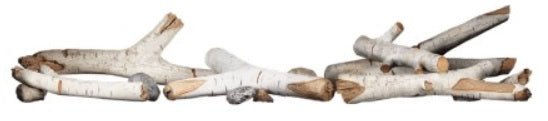 Napoleon | Birch Log Kit - BLKL